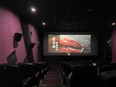 -CMC大光明影城(莲花店)