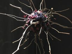 -成都许燎源现代设计艺术博物馆