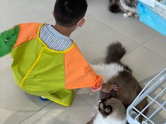 -怪兽屋·羊驼·猫咖·狗咖(俊华广场店)