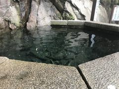 -崂山巨峰游览区