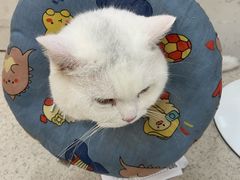 -新梦百货(民族店)