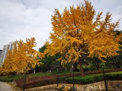 -苏州河梦清园环保主题公园