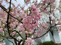 -天鹅湖体育公园