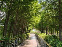 -江滩湿地公园