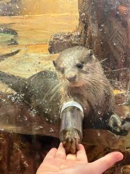 -Zoolung Zoolung动物主题公园(海信广场店)