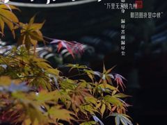 -成都市文殊院