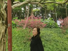 -嘉定紫藤园