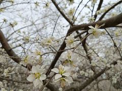 -满都海公园