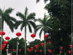 -万绿园