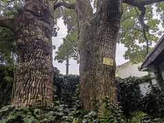 -惠山古镇·寄畅园