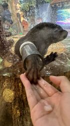 -Zoolung Zoolung动物主题公园(海信广场店)