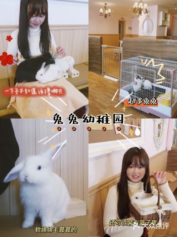 兔兔幼稚园｜这么可爱，我心动了
