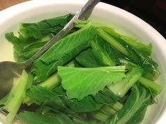 沾水苦菜-缘生态云南菜·野生菌庭院餐厅(华侨城店)