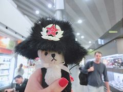 -谢列梅捷沃国际机场