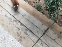 -昆明动物园