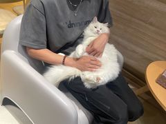 -藏猫猫咖啡主题馆(中央大道店)