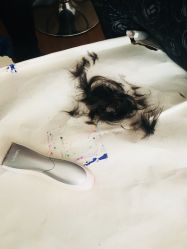 -龙文宝贝上门婴儿理发满月剃胎毛(总店)
