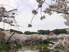 -武商摩尔影城(国广IMAX激光店)