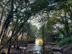 -西溪南古村落景区