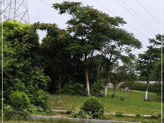 -九里河湿地公园