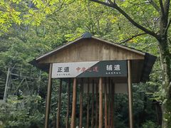 -青峰峡国家森林公园