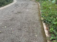 -广州市帽峰山景区