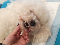 -美迦爱-牙专科·兔科·骨科诊疗中心(北苑店)