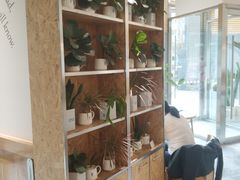 -Blueglass酸奶(财富购物中心店)