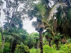 -合肥野生动物园