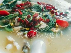 酸菜鱼面-乐达酸菜鱼面(山师东路店)