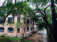 -中山大学学者灵芝(园南路店)