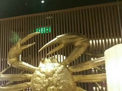 -蟹将军·松叶蟹和牛日料放题自助(K11店)