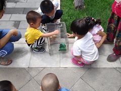 -西海子公园