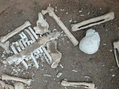 -洛阳古墓博物馆