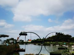 -荷兰花海