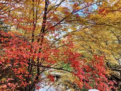 -光雾山旅游景区