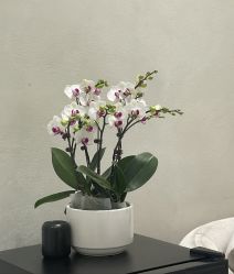 点击看大图 -和颜一美轻医美连锁