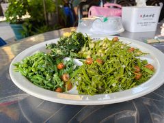 野菜拼盘-京北渔家傲