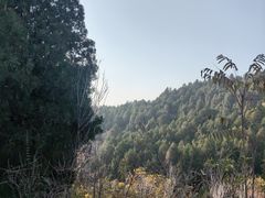 -涂山风景区