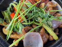 -石岐乳鸽村(桥观坊南四巷店)