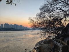 -江心屿景区