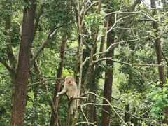 -千岛湖东南湖区