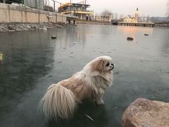-山西通天峡景区