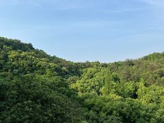 -宁波市保国寺古建筑博物馆