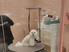 -FAELING PETS美天灵宠物(合生汇店)