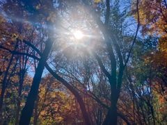 -长春市南湖公园