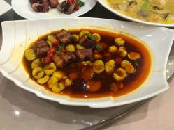 -成都大鼎世纪大酒店·宴会厅