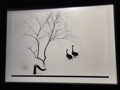 -罗红摄影艺术馆