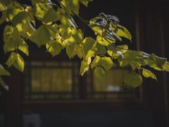 -潭柘寺景区