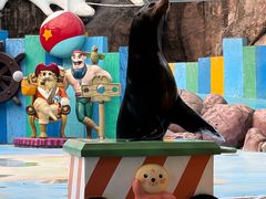 -海合安成都极地海洋公园